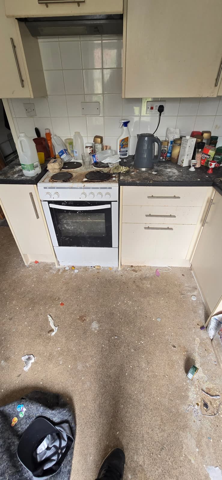 Warminster Full Flat Clearance project photo 12