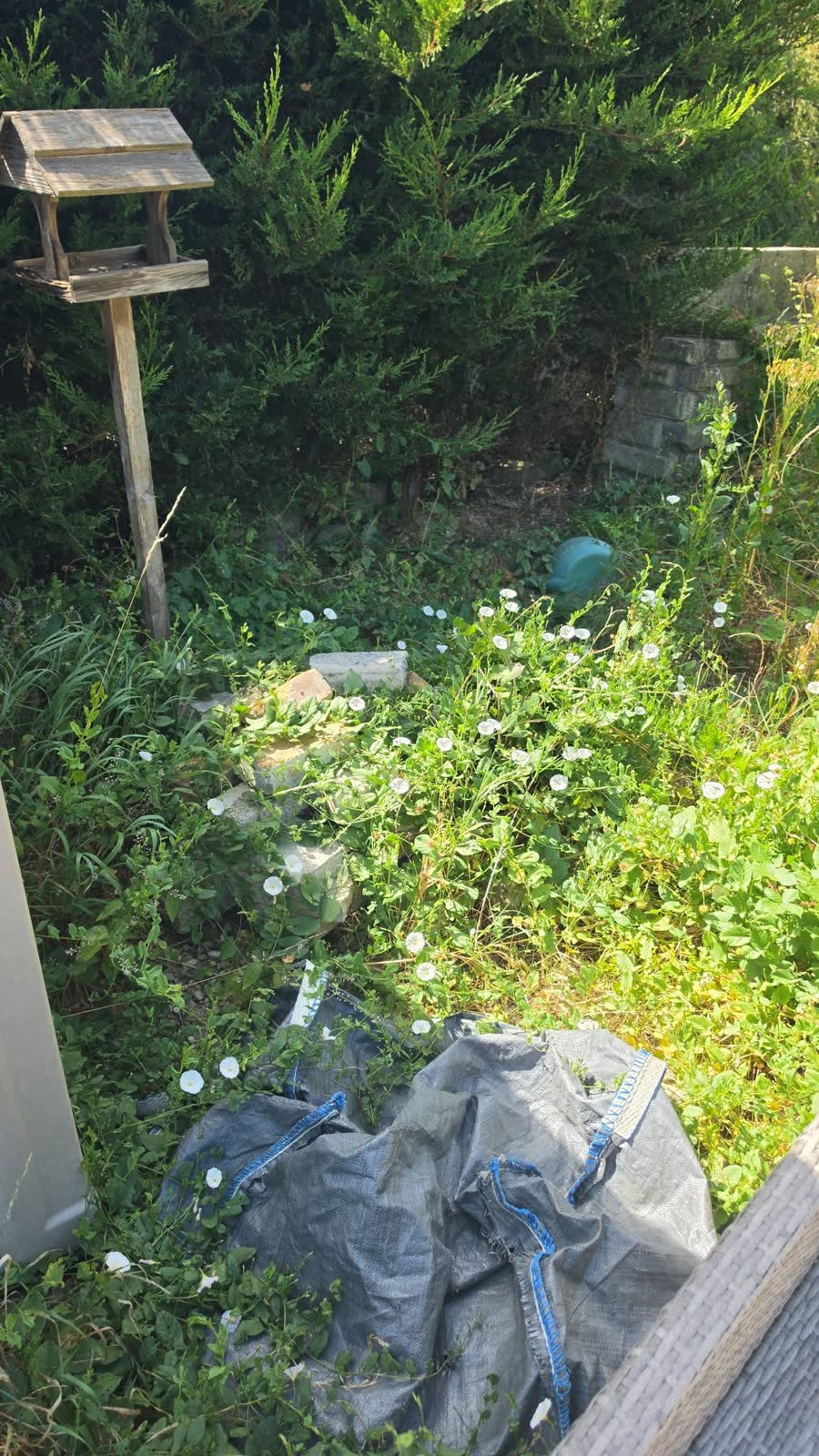 Cardboard, Timber and Shed Contents Clearance project photo 2