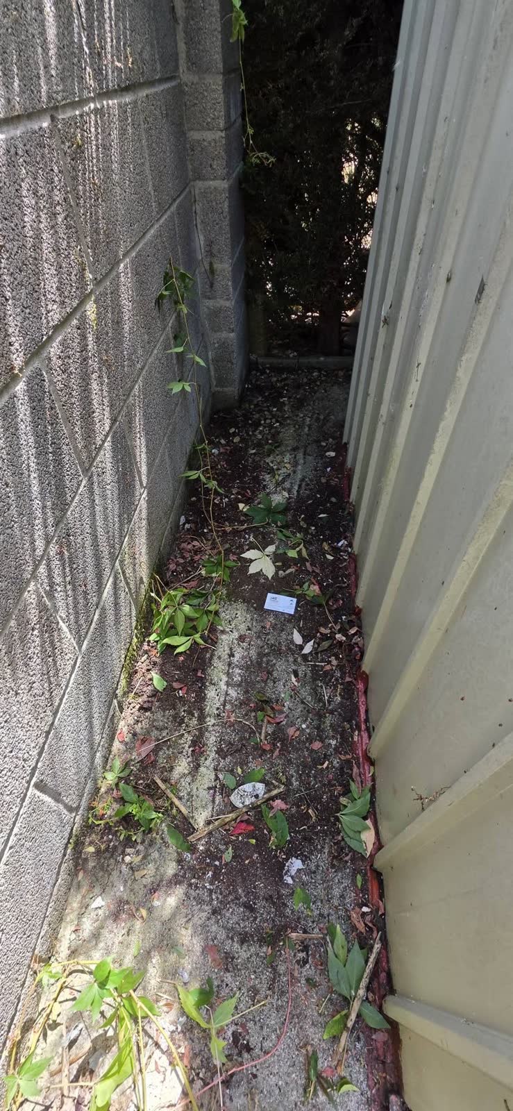 Cardboard, Timber and Shed Contents Clearance project photo 9