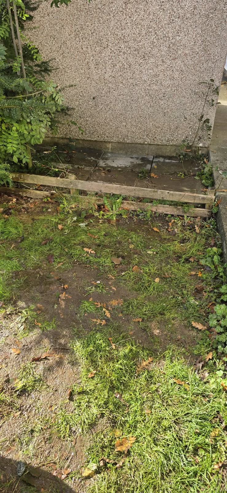 Small Outdoor Household Waste Clearance project photo 5