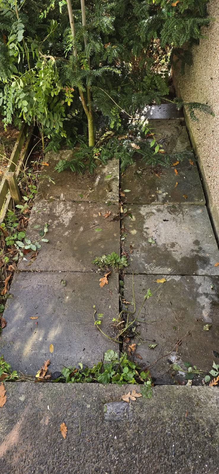 Small Outdoor Household Waste Clearance project photo 6