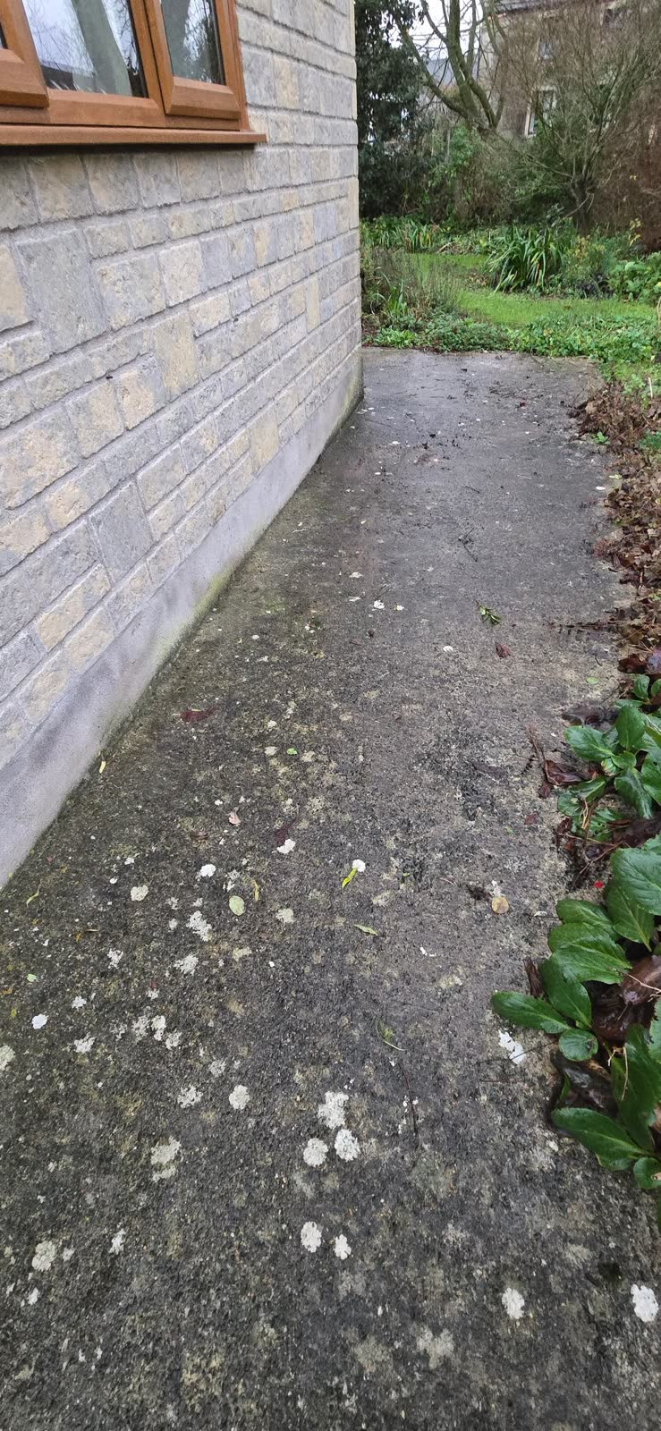 Stoney Stratton Wood Waste Collection after clearance