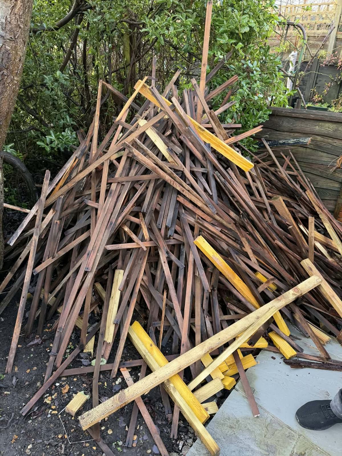 Templecombe Timber Waste Clearance project photo 3