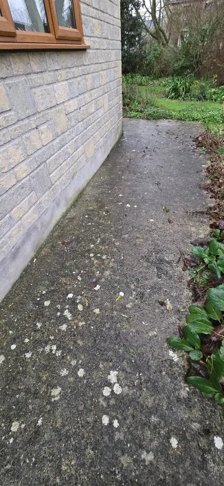 Timber & Fence Removal after clearance