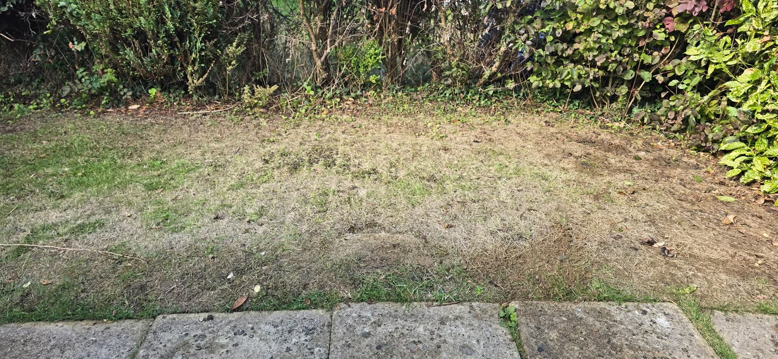 Two Residential Waste Removal Jobs after clearance