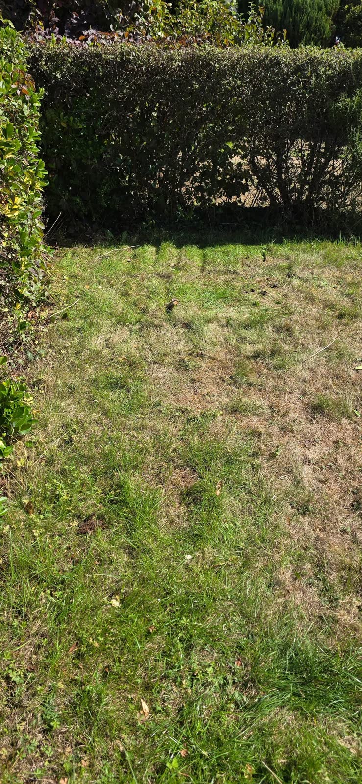 Two Residential Waste Removal Jobs after clearance