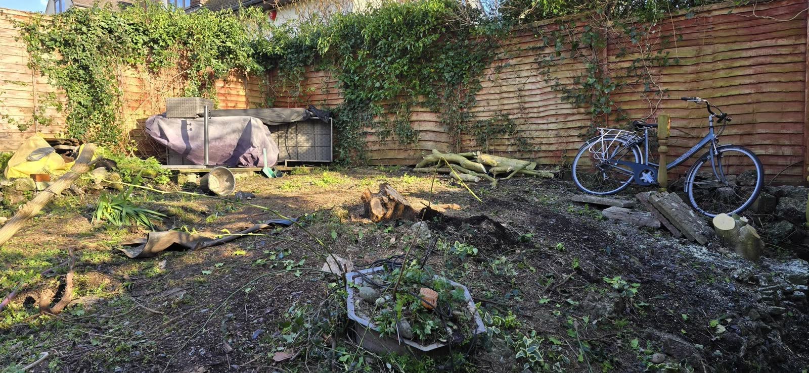 Two-Tree Removal and Green Waste Clearance project photo 4