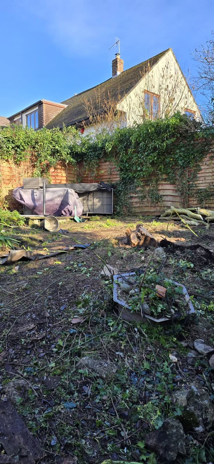 Two-Tree Removal and Green Waste Clearance project photo 5