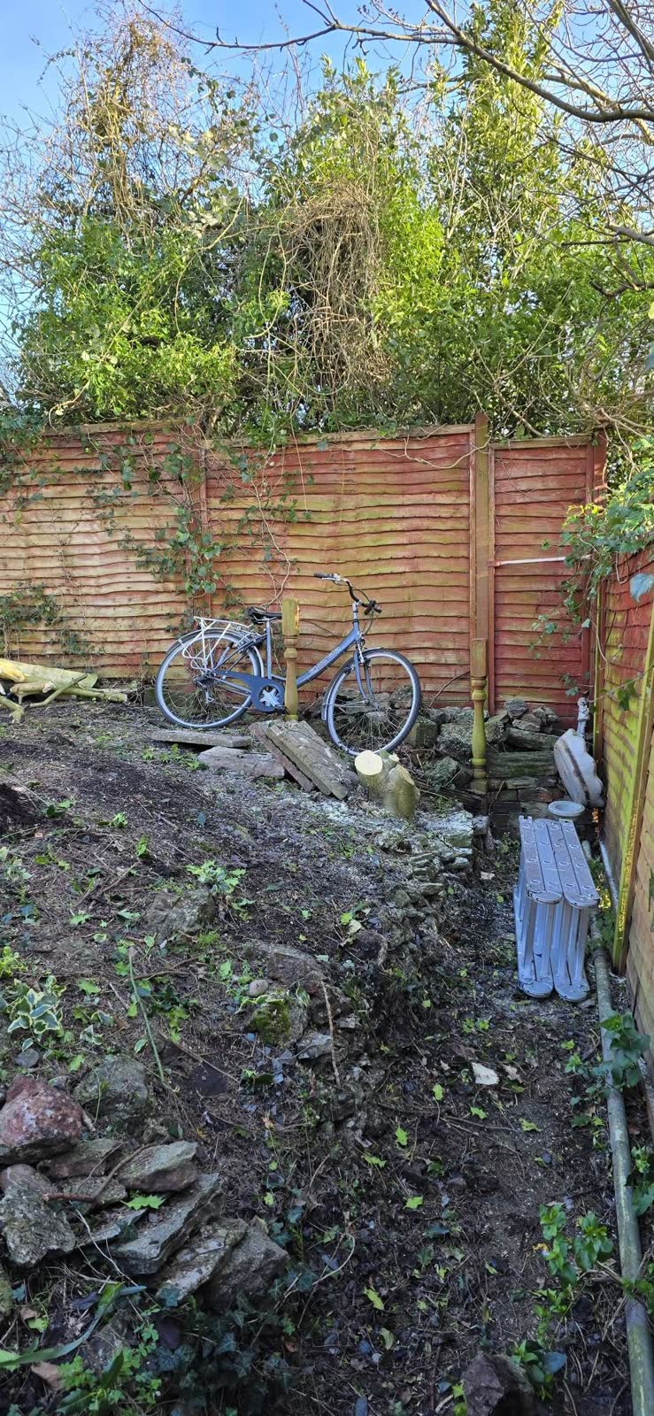 Two-Tree Removal and Green Waste Clearance after clearance