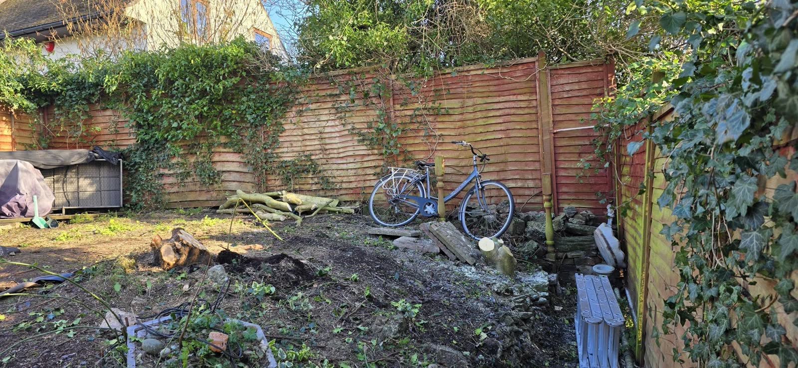 Two-Tree Removal and Green Waste Clearance project photo 6