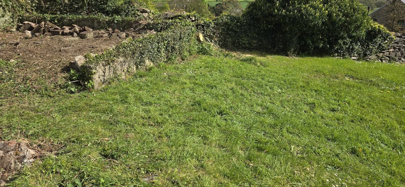 Wells Waste and Bramble Clearance project photo 5