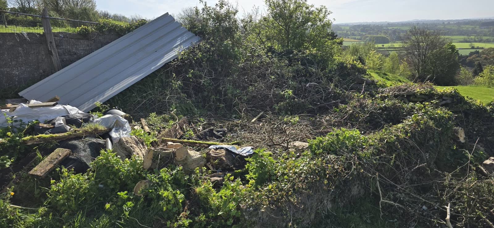 Wells Waste and Bramble Clearance project photo 3