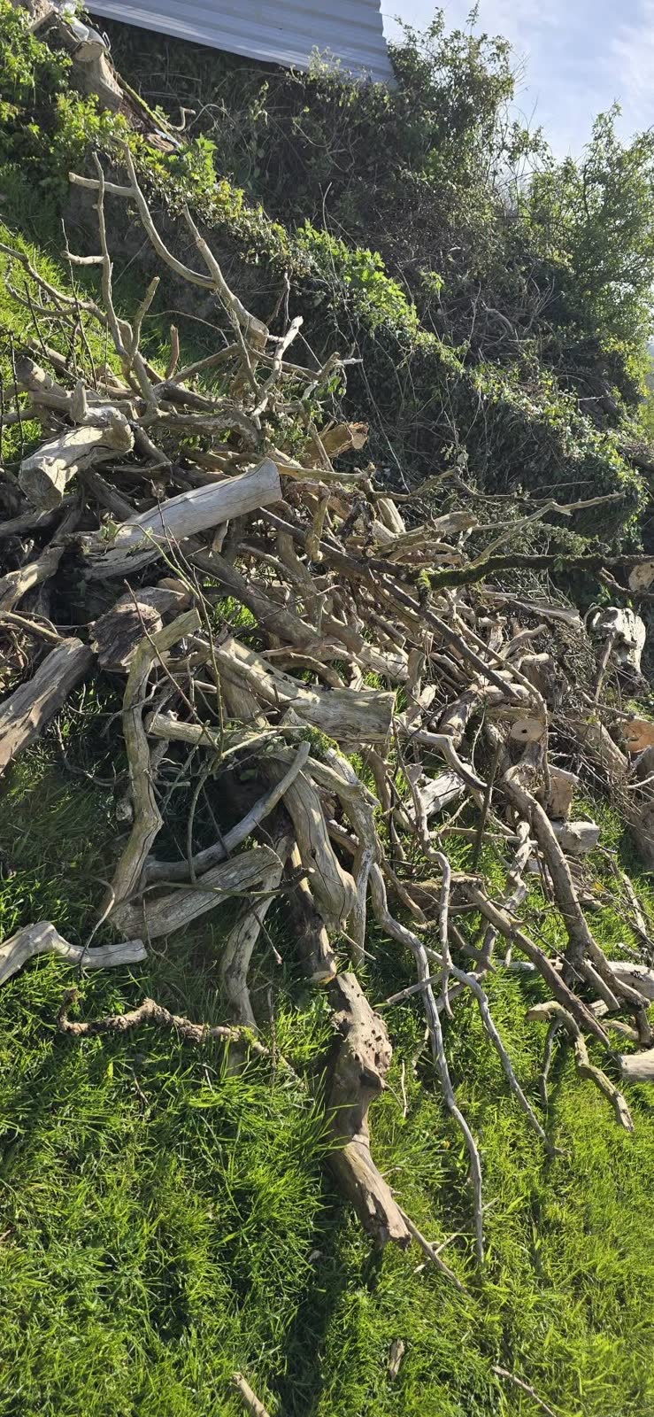 Wells Waste and Bramble Clearance project photo 4