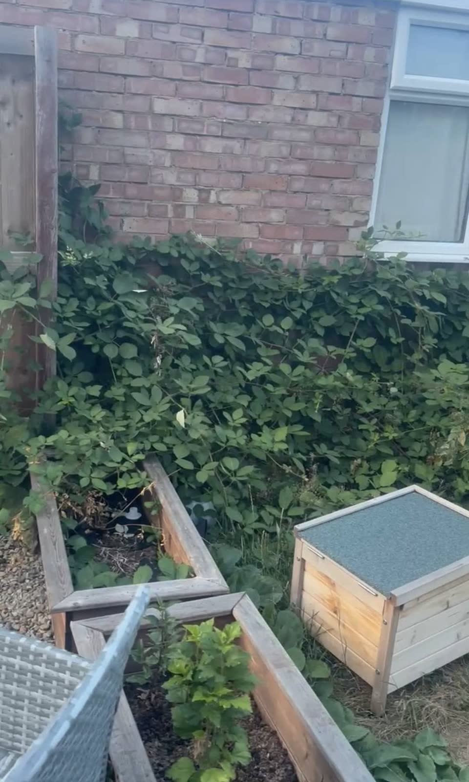 Westbury Driveway and Overgrown Garden Clearance project photo 3