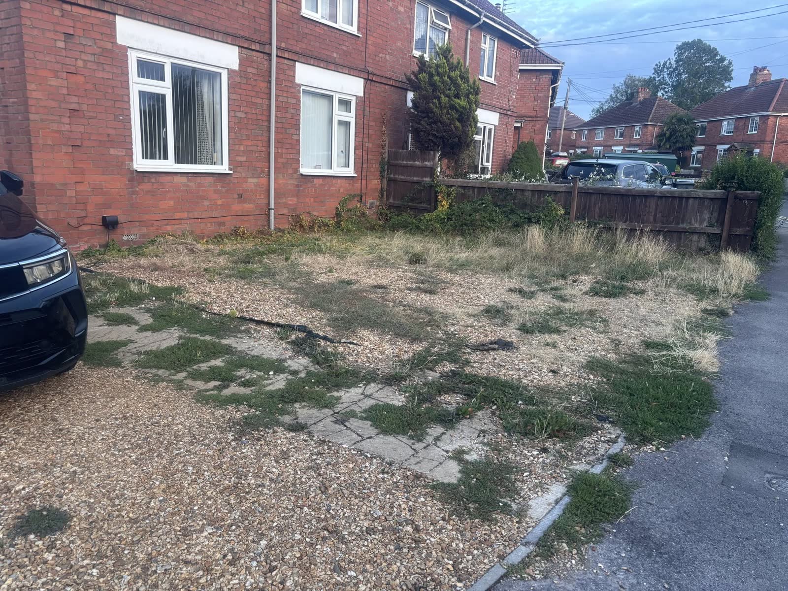 Westbury Driveway and Overgrown Garden Clearance before clearance