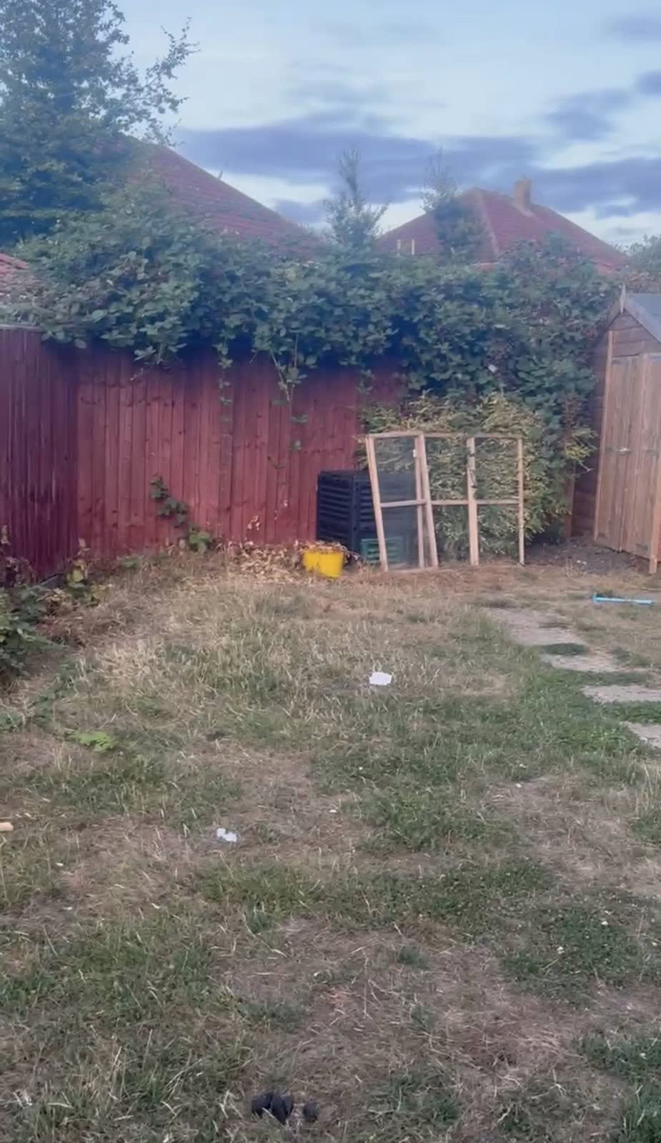 Westbury Driveway and Overgrown Garden Clearance project photo 5